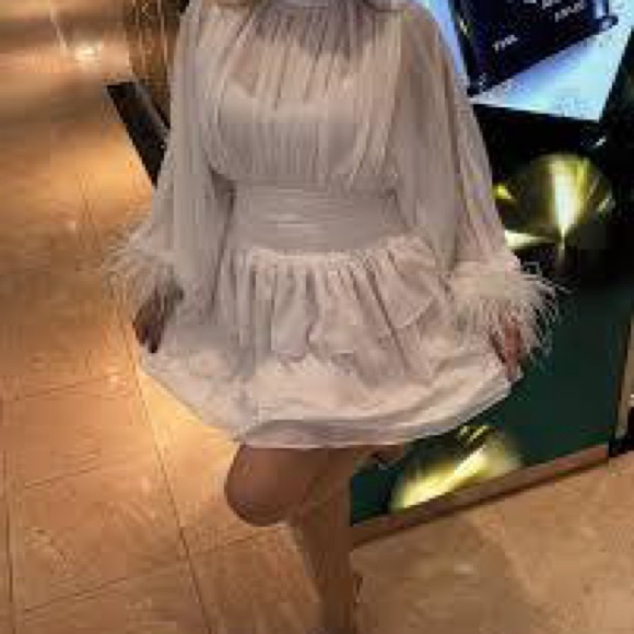 Loves A Metallic Chiffon Feather Trim Ruched Dress - STUNNING! MSPR 159 - Picture 9 of 9